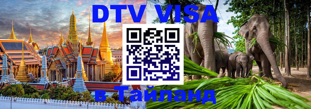 Сколько стоит DTV виза — актуальные цены, оформление даже без документов - 10.12.2025 
